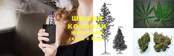 apvp Костерёво