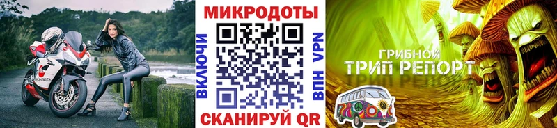 Купить  Новочеркасск  Псилоцибиновые грибы Cubensis 